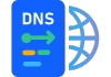 dedicated servers features dns