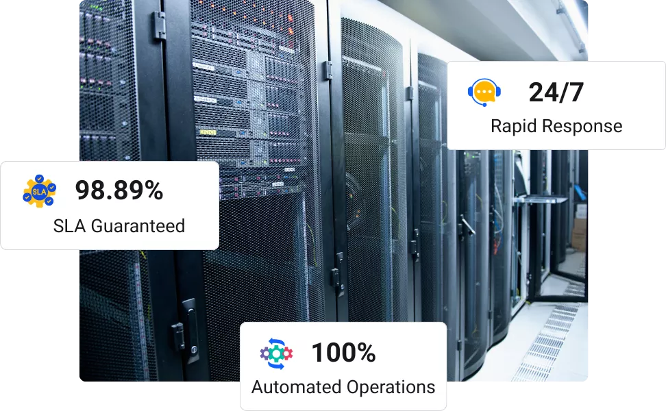 Taiwan Server Hosting : Intelligent BGP for Fast Asia Links